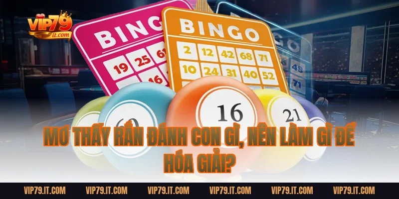 Mơ thấy rắn đánh con gì, nên làm gì để hóa giải?